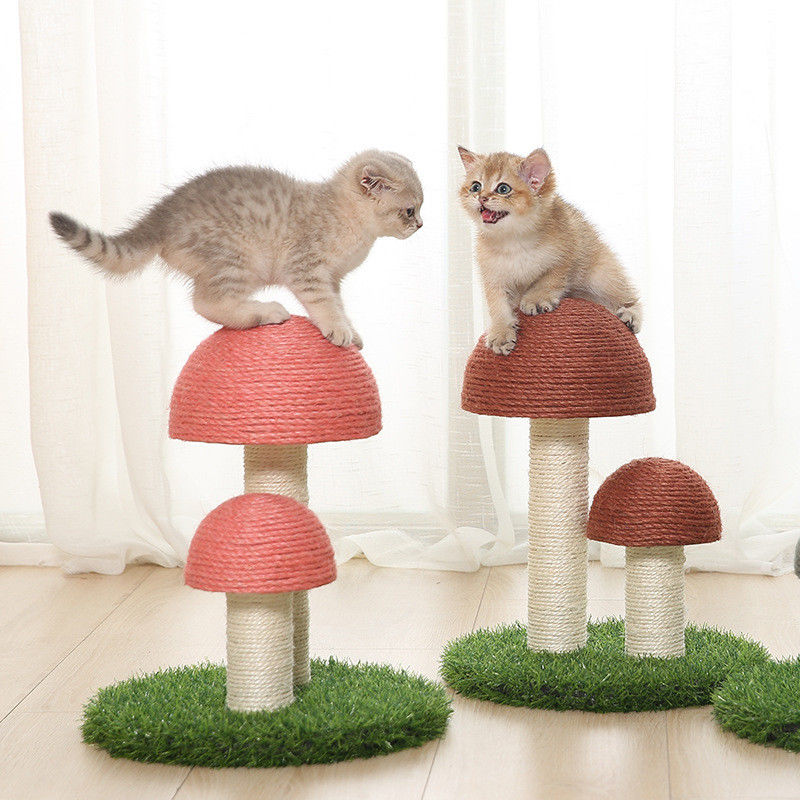 Het vlas schiet de Postraad S 36*30cm van Sisalcat tree tower cat scratch als paddestoelen uit de grond