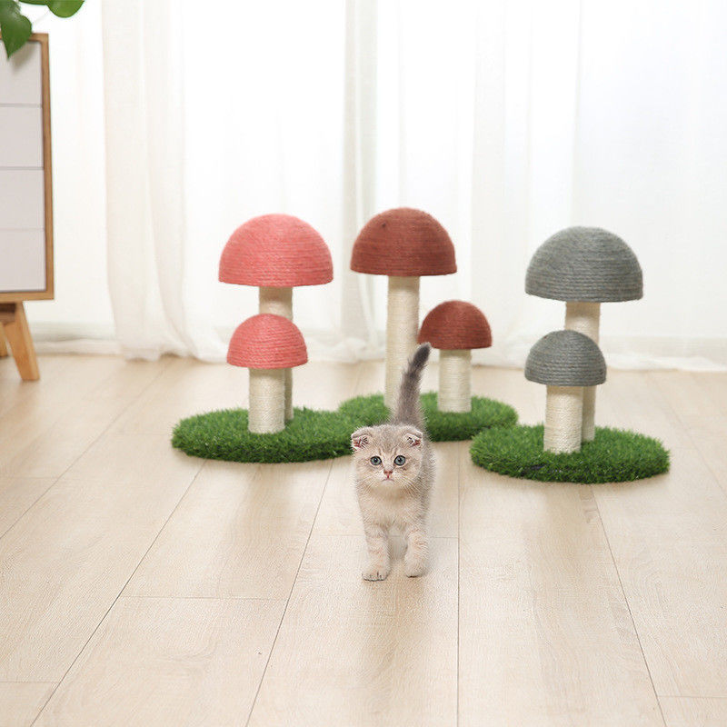 Het vlas schiet de Postraad S 36*30cm van Sisalcat tree tower cat scratch als paddestoelen uit de grond