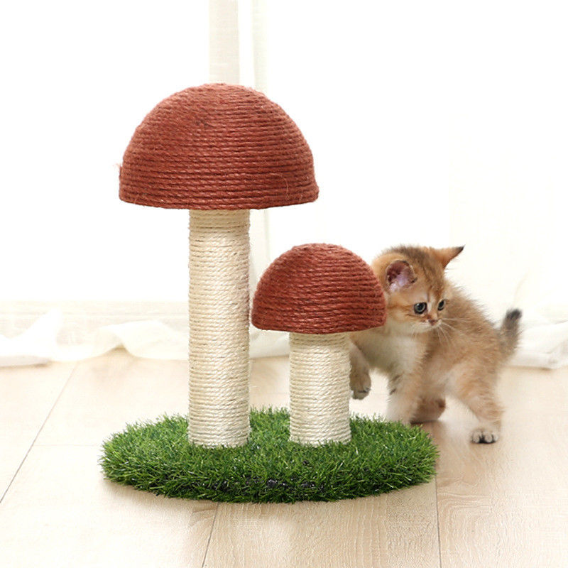 Het vlas schiet de Postraad S 36*30cm van Sisalcat tree tower cat scratch als paddestoelen uit de grond