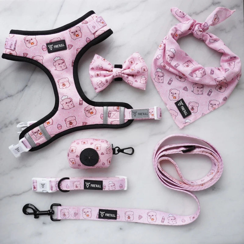 De zachte Reeks van Mesh Nylon Pattern Dog Collar en van de Leiband