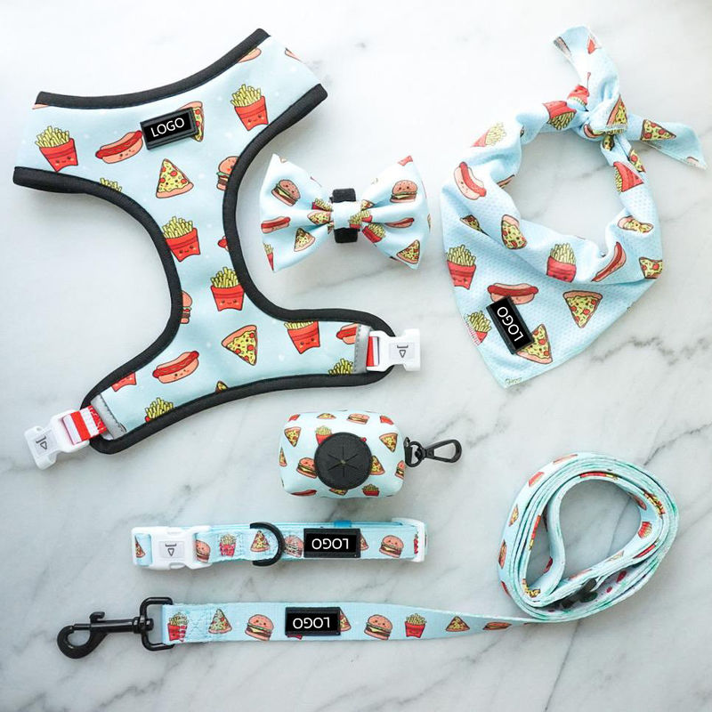 De zachte Reeks van Mesh Nylon Pattern Dog Collar en van de Leiband