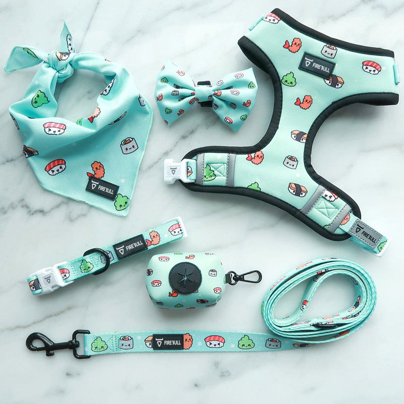 De zachte Reeks van Mesh Nylon Pattern Dog Collar en van de Leiband