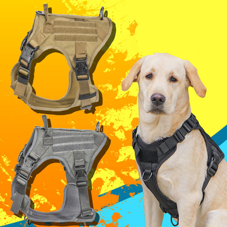 De tactische Militaire Uitrusting van de Vesthond met Tactische Gespodm Molle Veiligheid voor de Dienst &amp; Opleidings Militair Hondvest
