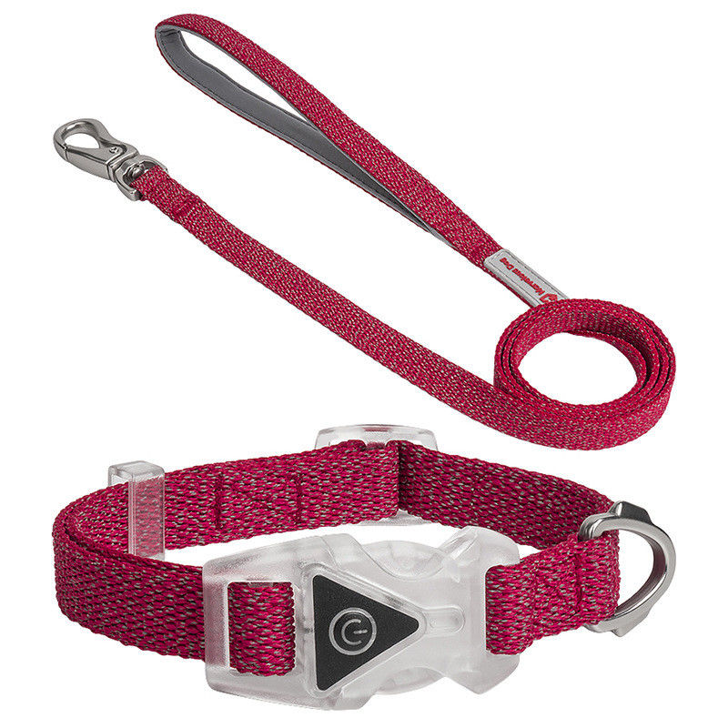 De geleide van de de Kragenleiband van het Hondhuisdier van de de Kabelhond Vastgestelde Regelbare Decoratieve Nylon Leiband van de de Leiband Weerspiegelende Hond