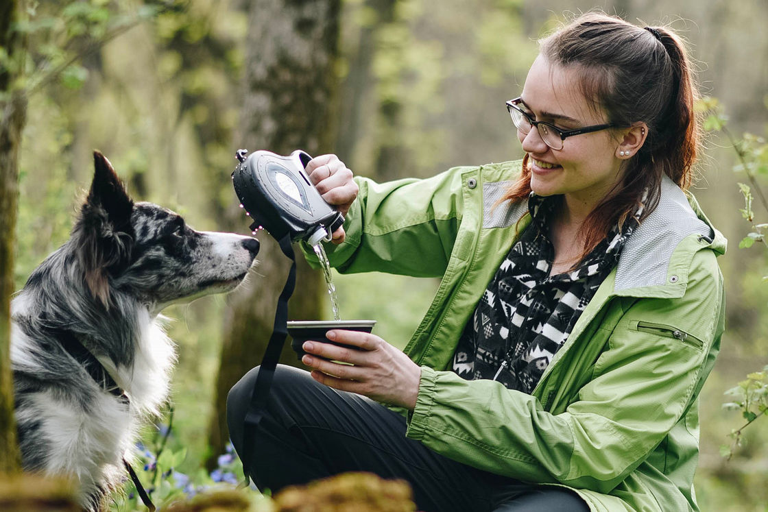 Van het de Leibandwater van de antidraai Opvouwbaar Hond de Flessenabs Plastiek