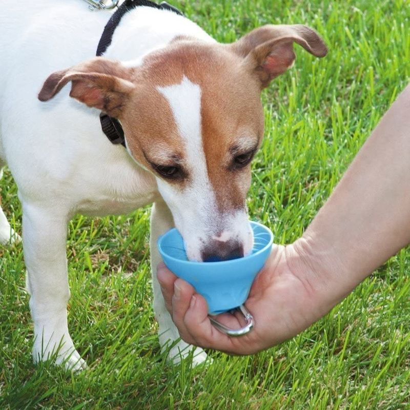 Afneembare Openlucht het Waterfles en Kom van de Siliconehond 400 Ml-Huisdier het Drinken Fles