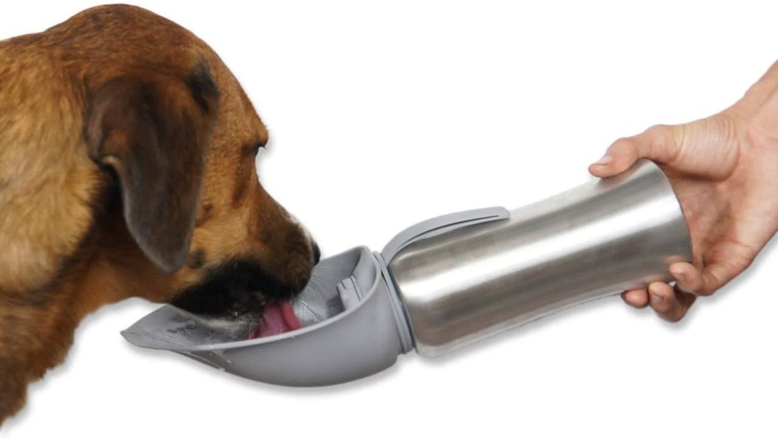 De roestvrije Fles van het de Hondwarme water van Reishuisdieren met Silicone Flip Up Bowl 42oz/1200mL