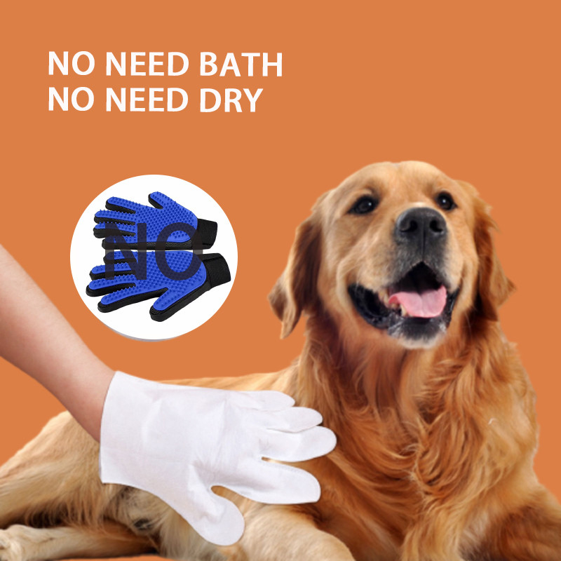 Openlucht het Schoonmaken Bacteriënvuil Droog wat betreft de Beschikbare Hond Cat No Washing van Huisdierenhandschoenen