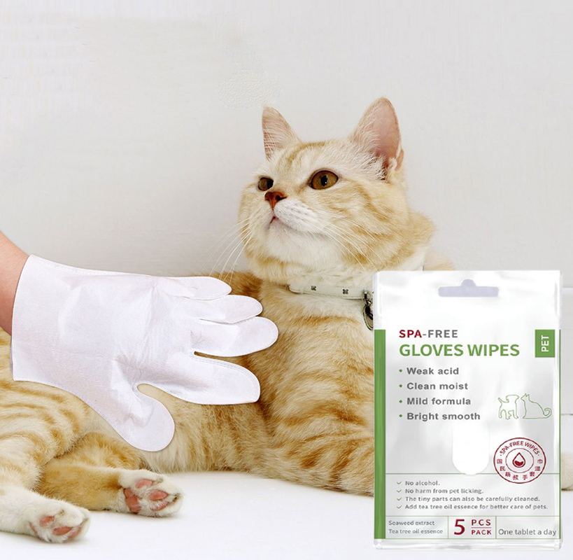5 PCs-Wegwerpproduct Geen Rinse Pet Cleaning Gloves voor het Oorpoten en Uiteinde van het Gezichtslichaam