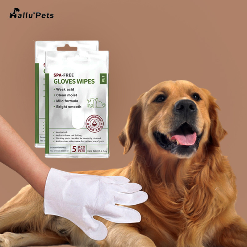 5 PCs-Wegwerpproduct Geen Rinse Pet Cleaning Gloves voor het Oorpoten en Uiteinde van het Gezichtslichaam