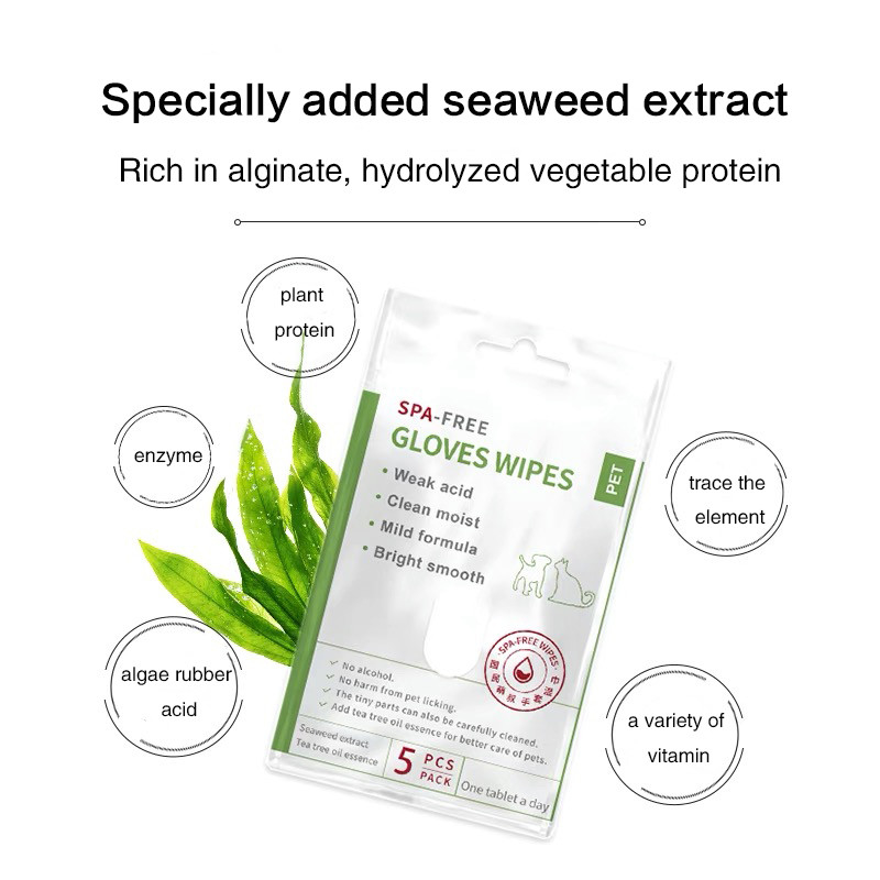 5 PCs-Wegwerpproduct Geen Rinse Pet Cleaning Gloves voor het Oorpoten en Uiteinde van het Gezichtslichaam